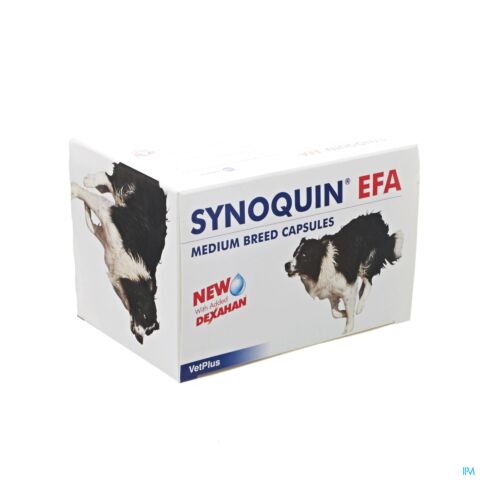 Synoquin Efa Medium Breed Caps 4x30